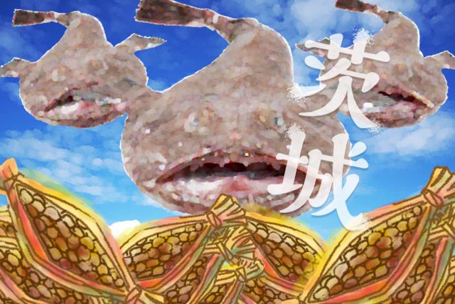 【茨城の就活】地方/地元で就職したい第二新卒・既卒・フリーターにおすすめの就活/転職情報まとめ